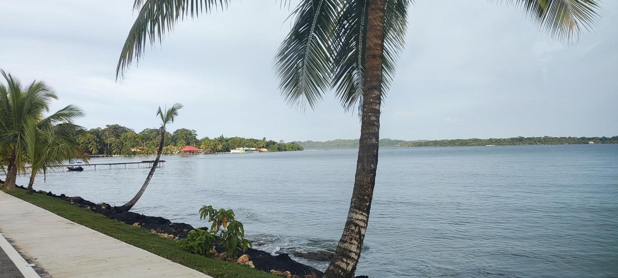 Bambu Lounge Bocas Hostel Bocas del Toro Exterior photo