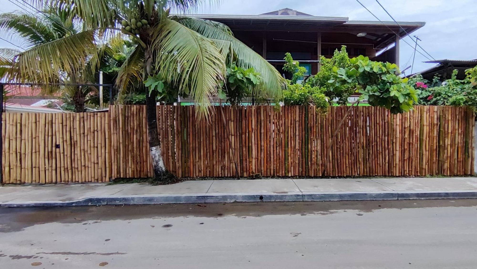 Bambu Lounge Bocas Hostel Bocas del Toro Exterior photo